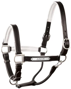 PERRIS LEATHER Perri’s® 1