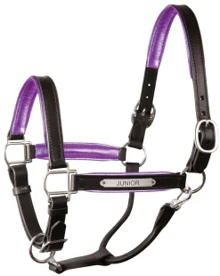 PERRIS LEATHER Perri’s® 1