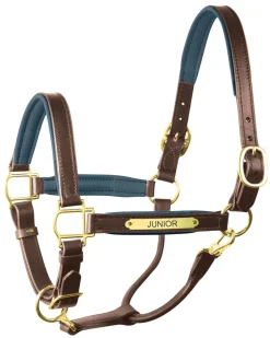 PERRIS LEATHER Perri’s® 1