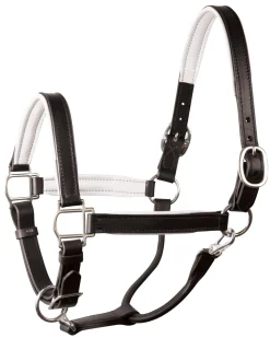 PERRIS LEATHER Perri’s® 1