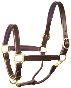 PERRIS LEATHER Perri’s® 1