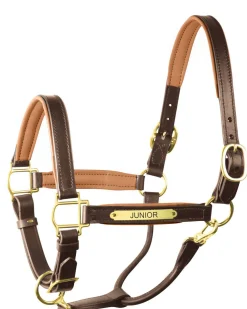 PERRIS LEATHER Perri’s® 1