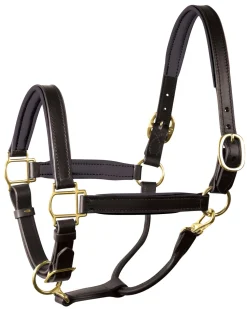 PERRIS LEATHER Perri’s® 1
