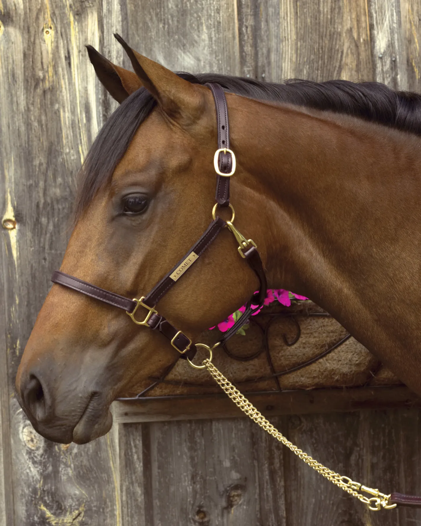 PERRIS LEATHER Perri’s® 3/4" Premium Leather Show Halter with Nameplate