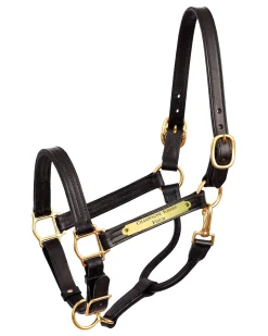 PERRIS LEATHER Perri’s® 1" XL Stallion Premium Leather Show Halter with Nameplate