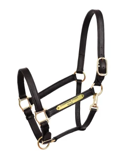 PERRIS LEATHER Perri’s® Draft Leather Turnout Halter