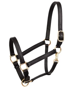 PERRIS LEATHER Perri’s® Leather Turnout Draft Halter