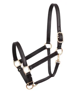 PERRIS LEATHER Perri’s® Leather Turnout Yearling Halter