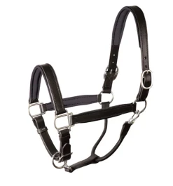 PERRIS LEATHER Perri’s® Padded Leather Halter Crownpiece