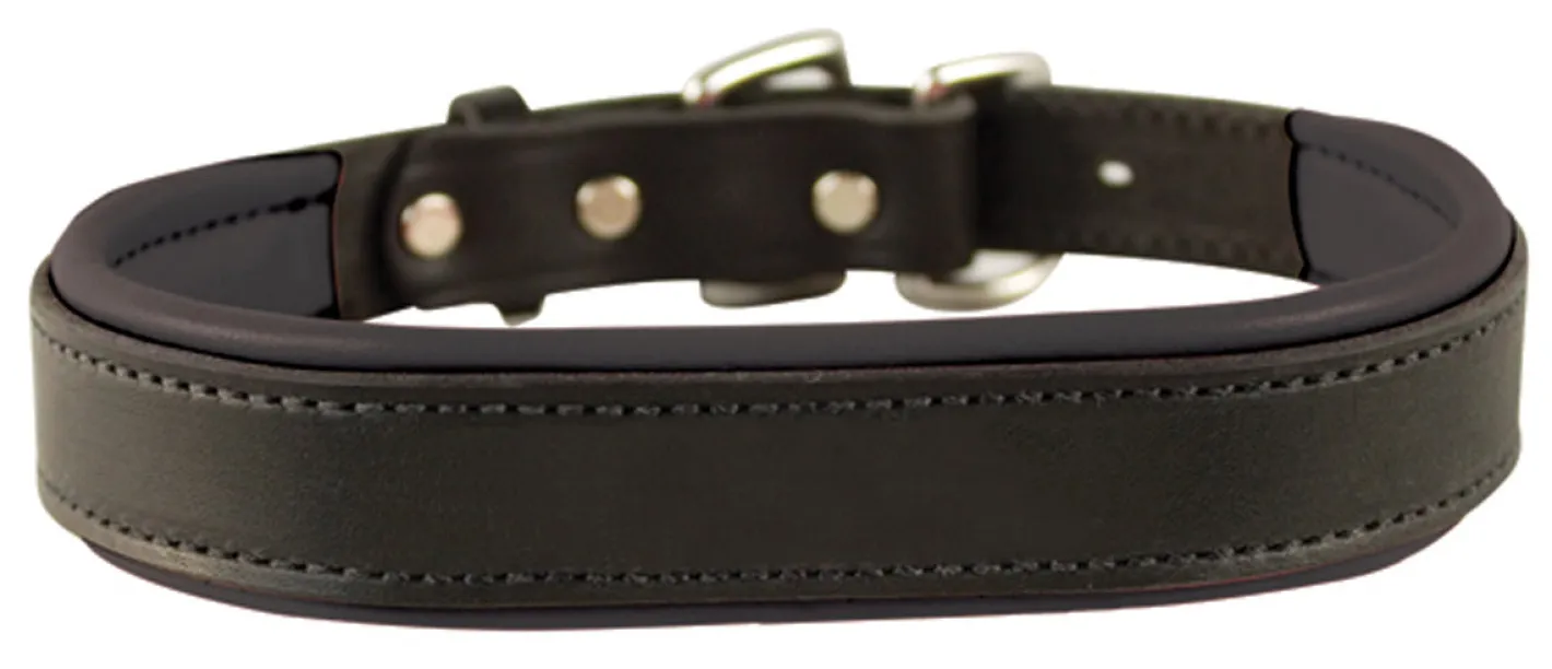 PERRIS LEATHER Perri’s® Padded Leather Nameplate Dog Collar