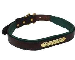 PERRIS LEATHER Perri’s® Padded Leather Nameplate Dog Collar