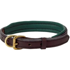 PERRIS LEATHER Perri’s® Padded Leather Nameplate Dog Collar
