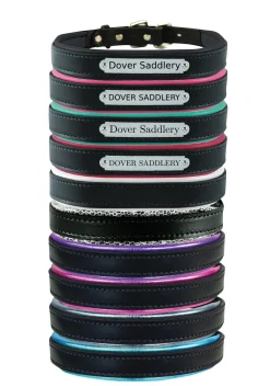 PERRIS LEATHER Perri’s® Padded Leather Nameplate Dog Collar