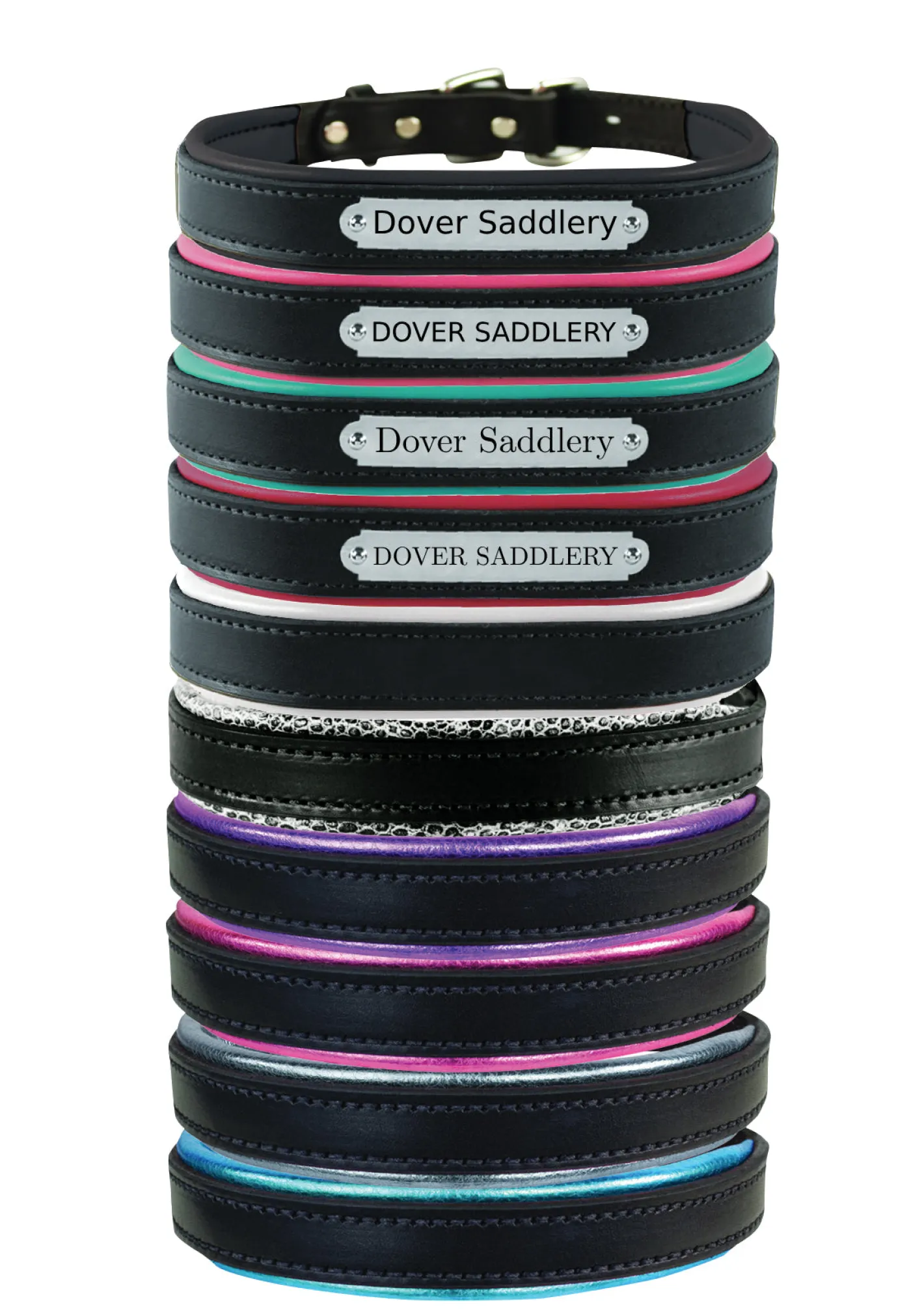 PERRIS LEATHER Perri’s® Padded Leather Nameplate Dog Collar