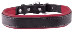 PERRIS LEATHER Perri’s® Padded Leather Nameplate Dog Collar