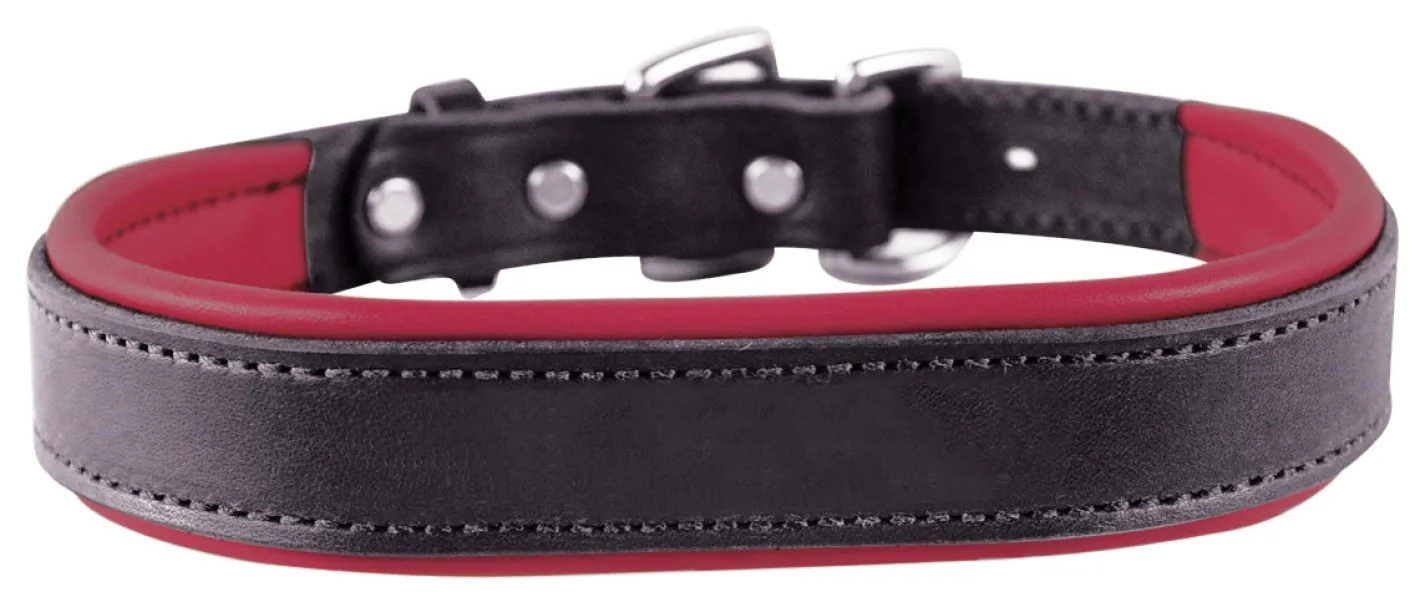 PERRIS LEATHER Perri’s® Padded Leather Nameplate Dog Collar