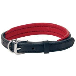 PERRIS LEATHER Perri’s® Padded Leather Nameplate Dog Collar