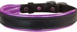 PERRIS LEATHER Perri’s® Padded Leather Nameplate Dog Collar