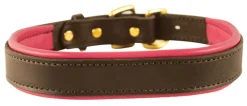 PERRIS LEATHER Perri’s® Padded Leather Nameplate Dog Collar