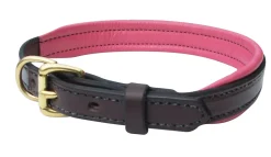 PERRIS LEATHER Perri’s® Padded Leather Nameplate Dog Collar