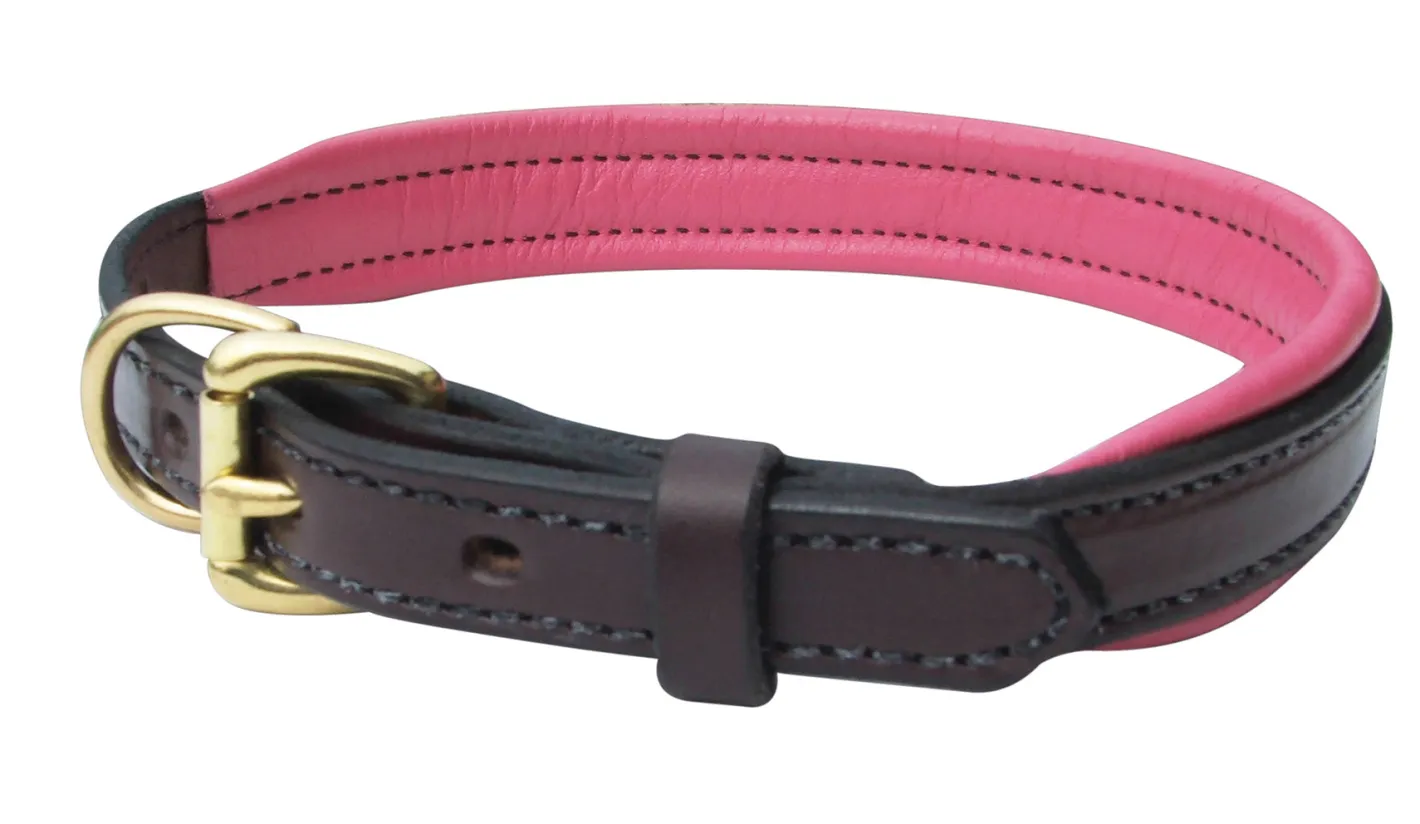 PERRIS LEATHER Perri’s® Padded Leather Nameplate Dog Collar