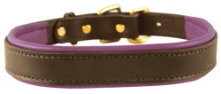 PERRIS LEATHER Perri’s® Padded Leather Nameplate Dog Collar