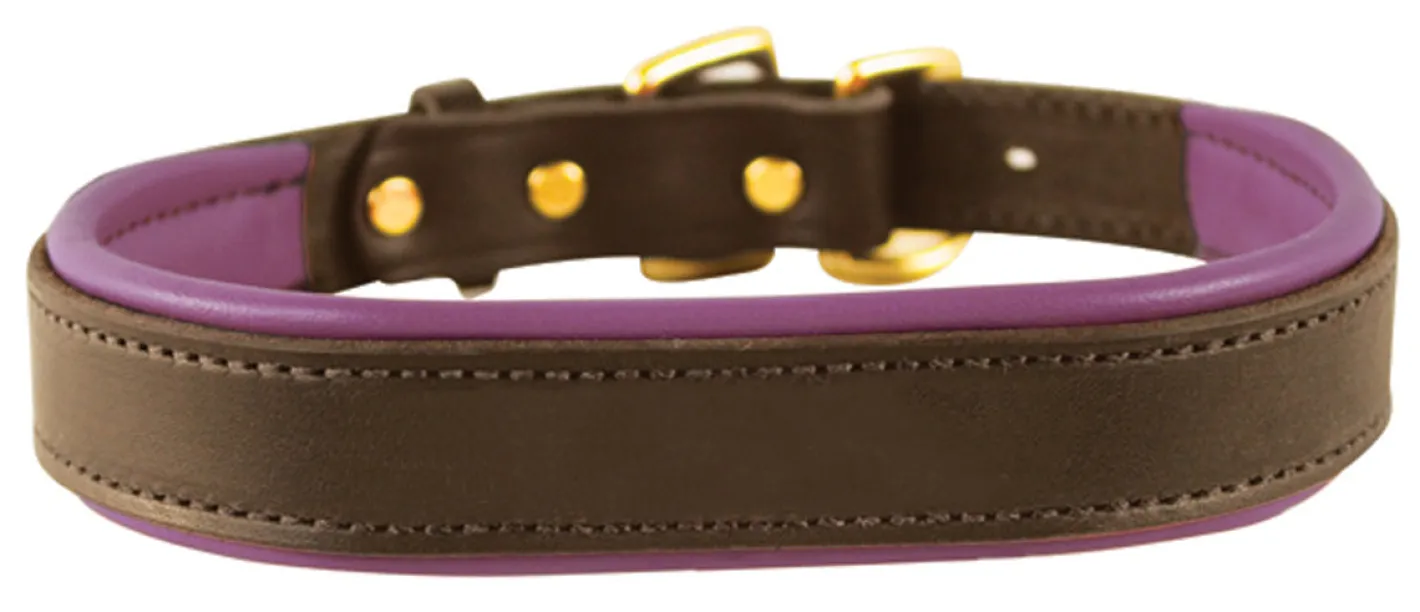PERRIS LEATHER Perri’s® Padded Leather Nameplate Dog Collar