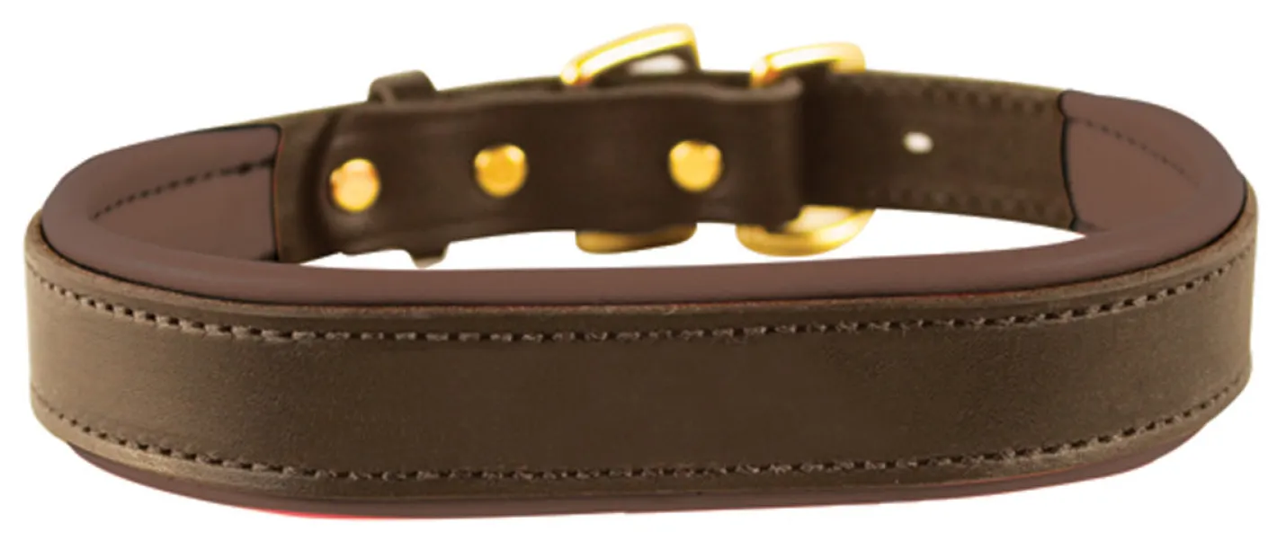 PERRIS LEATHER Perri’s® Padded Leather Nameplate Dog Collar