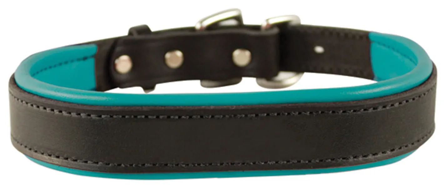PERRIS LEATHER Perri’s® Padded Leather Nameplate Dog Collar