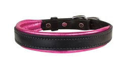 PERRIS LEATHER Perri’s® Padded Leather Nameplate Dog Collar