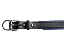 PERRIS LEATHER Perri’s® Padded Leather Nameplate Dog Collar