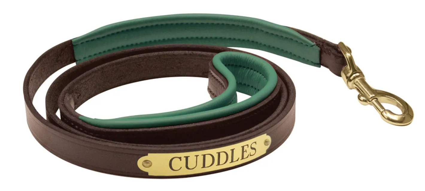 PERRIS LEATHER Perri’s® Padded Leather Nameplate Dog Leash