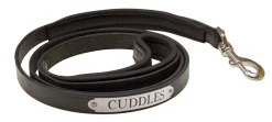 PERRIS LEATHER Perri’s® Padded Leather Nameplate Dog Leash