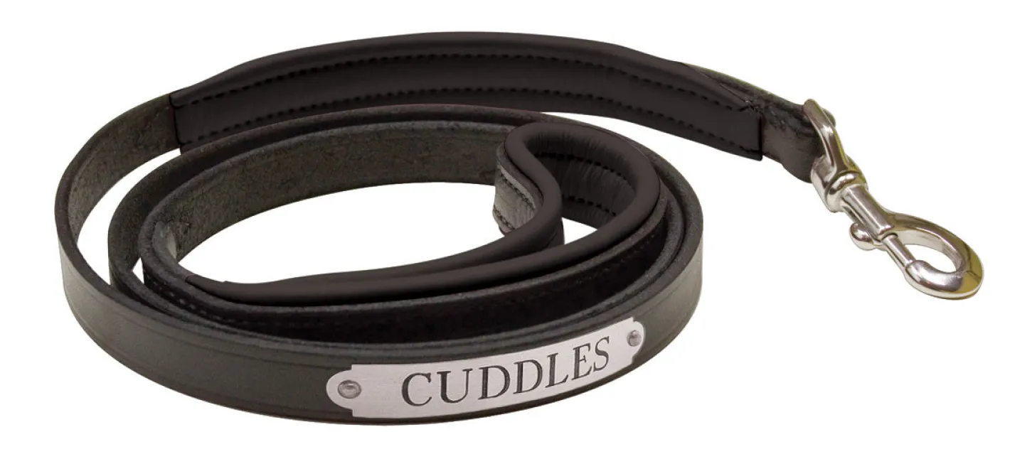 PERRIS LEATHER Perri’s® Padded Leather Nameplate Dog Leash