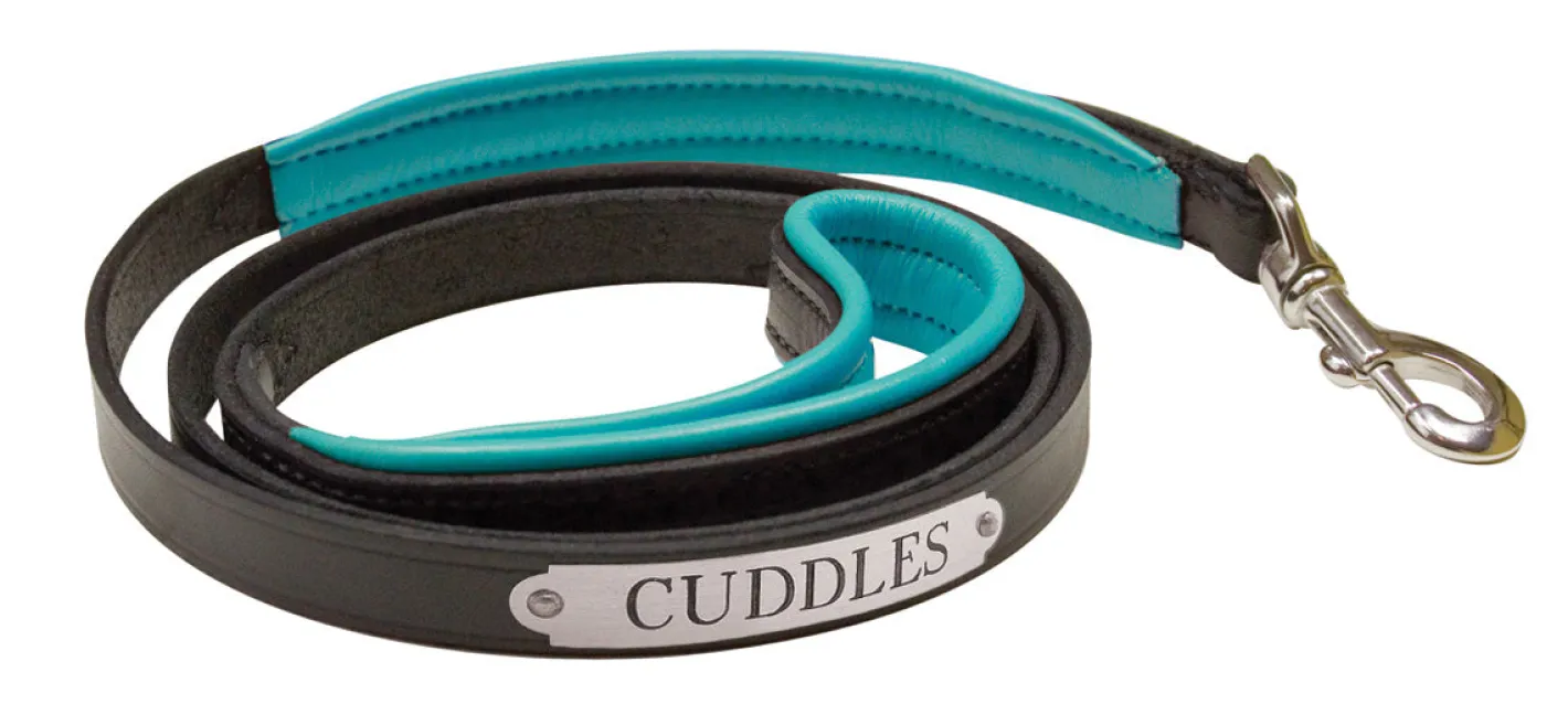 PERRIS LEATHER Perri’s® Padded Leather Nameplate Dog Leash