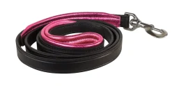 PERRIS LEATHER Perri’s® Padded Leather Nameplate Dog Leash