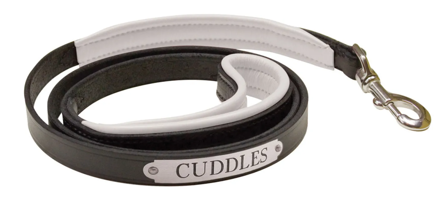 PERRIS LEATHER Perri’s® Padded Leather Nameplate Dog Leash