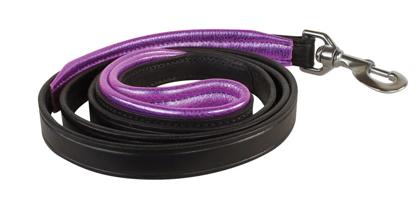 PERRIS LEATHER Perri’s® Padded Leather Nameplate Dog Leash