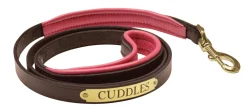 PERRIS LEATHER Perri’s® Padded Leather Nameplate Dog Leash
