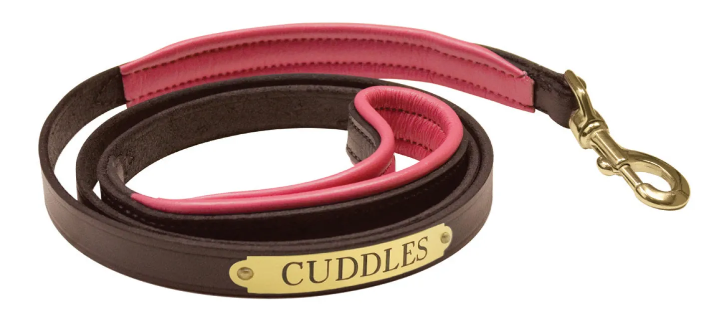 PERRIS LEATHER Perri’s® Padded Leather Nameplate Dog Leash