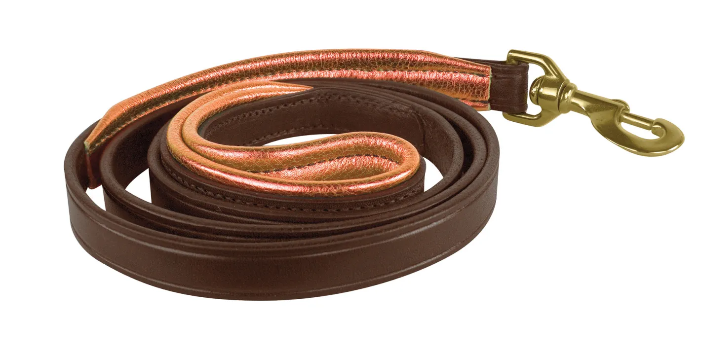 PERRIS LEATHER Perri’s® Padded Leather Nameplate Dog Leash