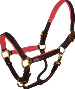 PERRIS LEATHER Perri’s® Padded Leather Pony Halter