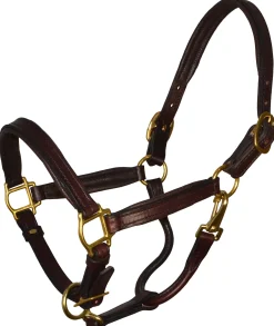 PERRIS LEATHER Perri’s® Padded Leather Pony Halter