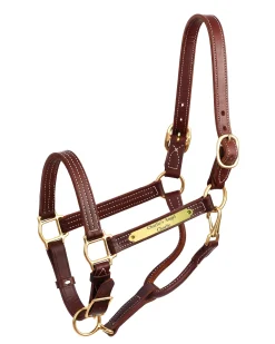 PERRIS LEATHER Perri’s® Premium 1" Leather Show Halter with Nameplate