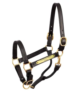 PERRIS LEATHER Perri’s® Premium 1" Leather Show Halter with Nameplate
