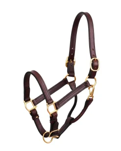 PERRIS LEATHER Perri’s® Premium Leather XL Show Halter