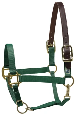 PERRIS LEATHER Perri’s® Premium Nylon Breakaway Halter
