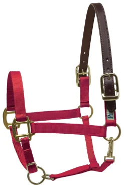 PERRIS LEATHER Perri’s® Premium Nylon Breakaway Halter