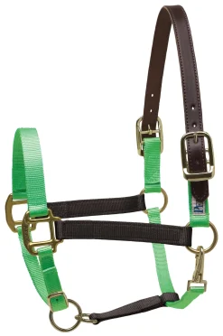 PERRIS LEATHER Perri’s® Premium Nylon Breakaway Halter