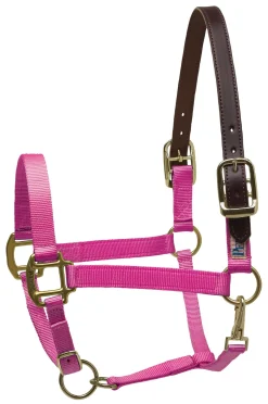 PERRIS LEATHER Perri’s® Premium Nylon Breakaway Halter
